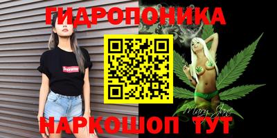 тгк Брянск
