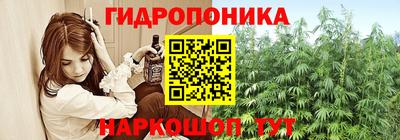 тгк Брянск