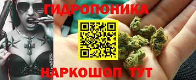 твердый Боровичи