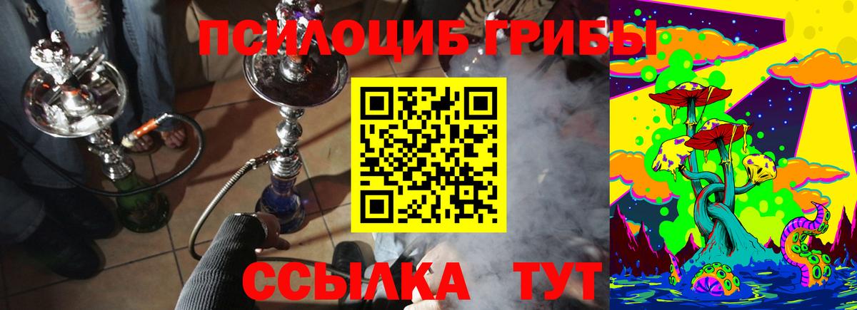 Псилоцибиновые грибы Cubensis Борисоглебск