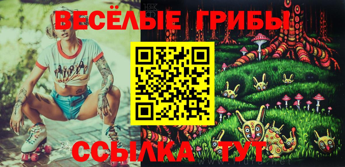Псилоцибиновые грибы Psilocybe  Вход с VPN  Борисоглебск 